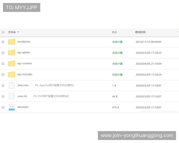 永利正规网址专业运营团队，提供优质服务确保用户满意度
